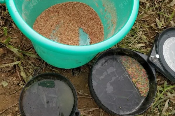 大量西红柿如何长期储存，放到恒温储存室里面进行存储