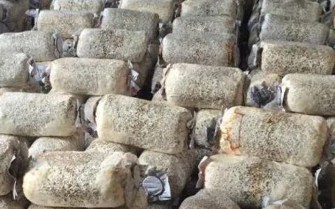 核桃树风水寓意深远，象征和美吉祥、喜庆平安。