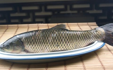 猕猴桃采摘时期：果实膨大未完全软化即可收获