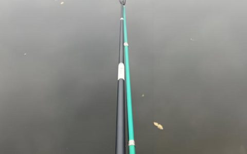 珍珠鳖与中华鳖的区别：体型、外形及生长速度差异明显