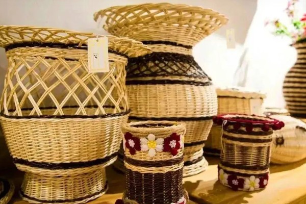 玉米雄花受到蚜虫危害怎么办，喷施氧化乐果等药物具有防效