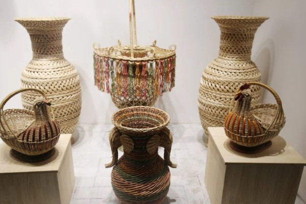 荼蘼的常见病虫害，常见炭疽病、蚜虫等类型