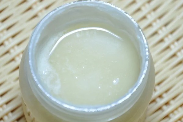 荼蘼的常见病虫害，常见炭疽病、蚜虫等类型