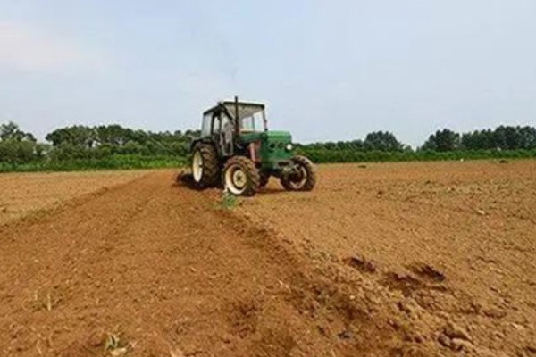 小丑鱼什么时候才能繁殖，养殖7-8月及以上便具备繁殖能力