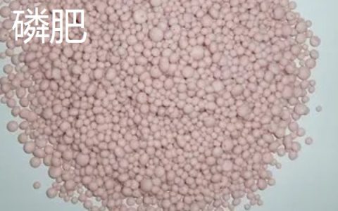 磷肥与二铵的区别：氮磷比例及酸碱性差异显著