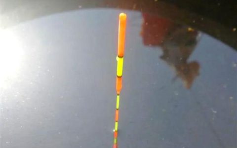 新生羔羊为何喘气打呼噜总是趴着，可能因天气过冷引起