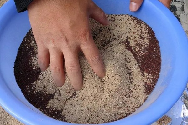 仔猪补铁应该注射哪个位置，一般是颈部和大腿内侧