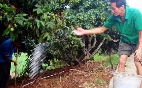 蚕宝宝一天饲喂4次，确保生长健康