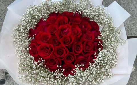 爱禾麦9号小麦品种特性及每亩15－18万基本苗的种植要点