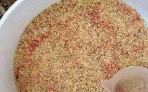 黑坑冬季钓鲫鱼的技巧，腥味饵料效果更佳