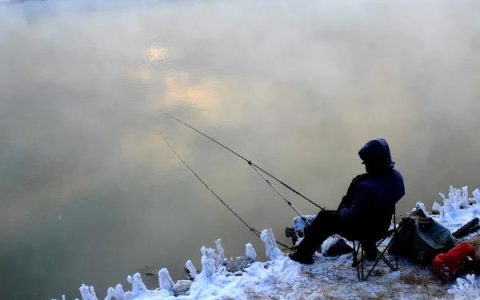 洛单甜8号玉米种子简介及适宜种植密度3500株/亩